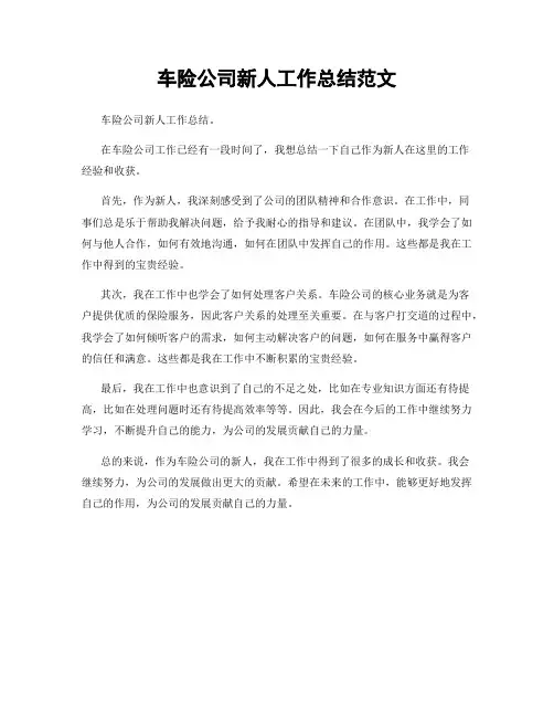 车险公司新人工作总结范文
