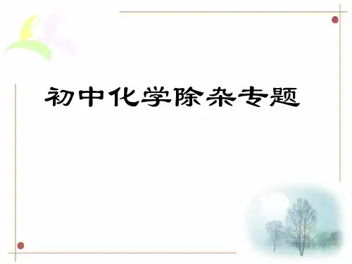 除杂PPT课件(初中科学)