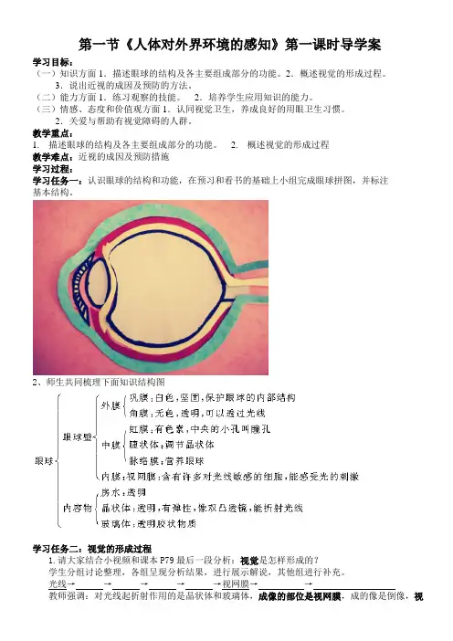 生物人教版七年级下册眼和视觉 导学案