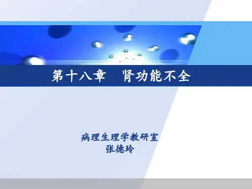 病理生理学肾衰竭PPT课件
