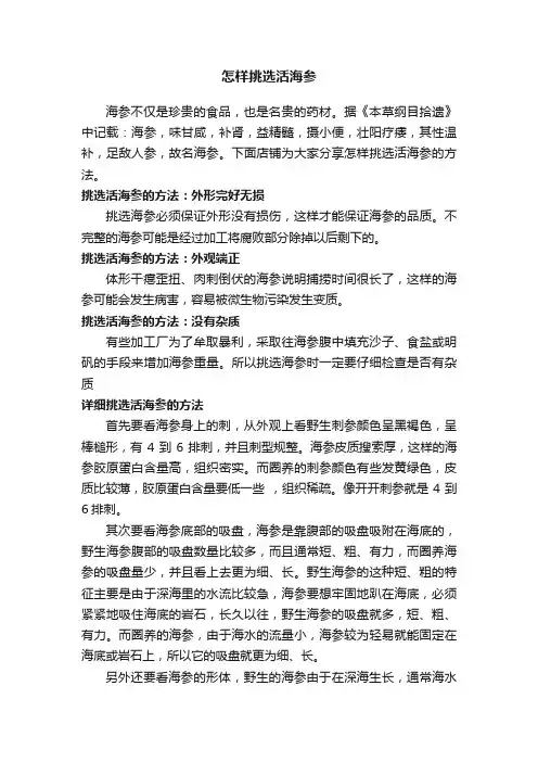 怎样挑选活海参