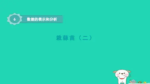 2024四年级数学下册第六单元数据的表示和分析3栽蒜苗二课件北师大版