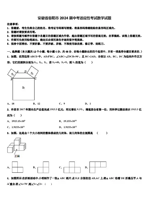 安徽省阜阳市2024届中考适应性考试数学试题含解析