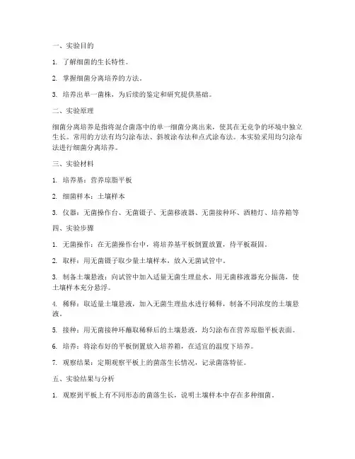 细菌分离培养实验报告
