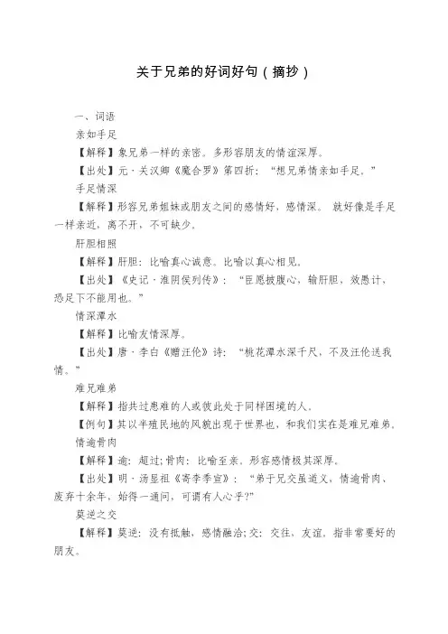 关于兄弟的好词好句（摘抄）
