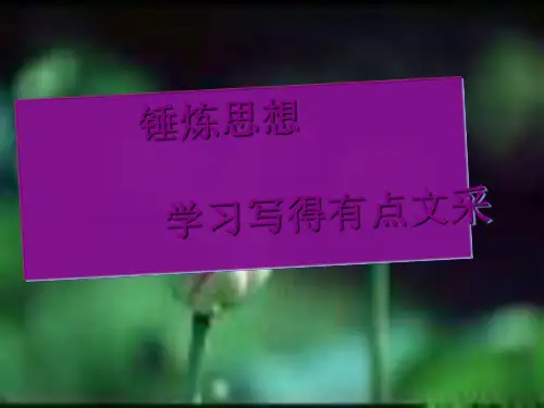 锤炼思想学习写得有点文采ppt[优秀课件资料]