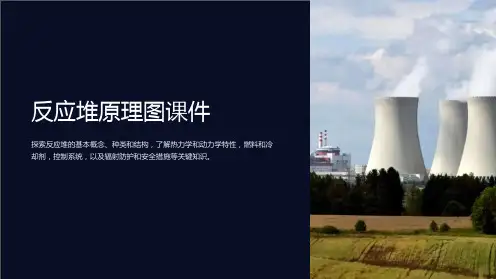 反应堆原理图课件