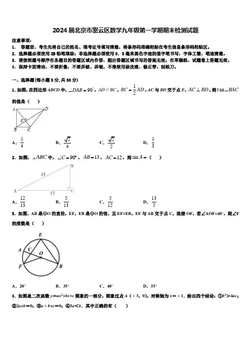 2024届北京市密云区数学九年级第一学期期末检测试题含解析