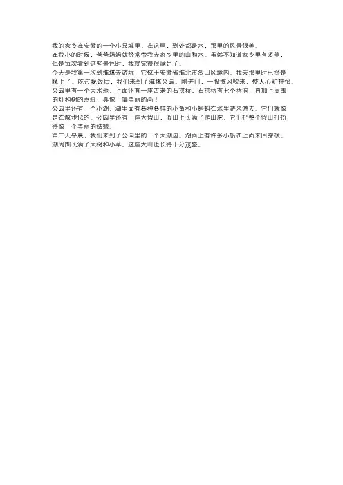 参观淮塔有感作文