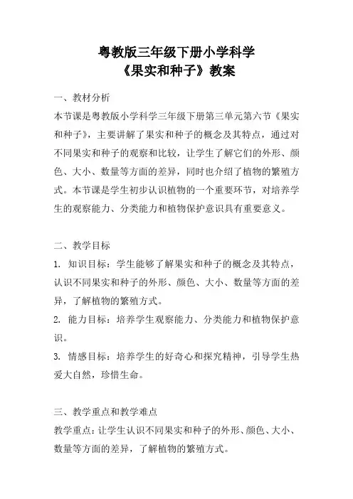 粤教版三年级下册小学科学《果实和种子》教案
