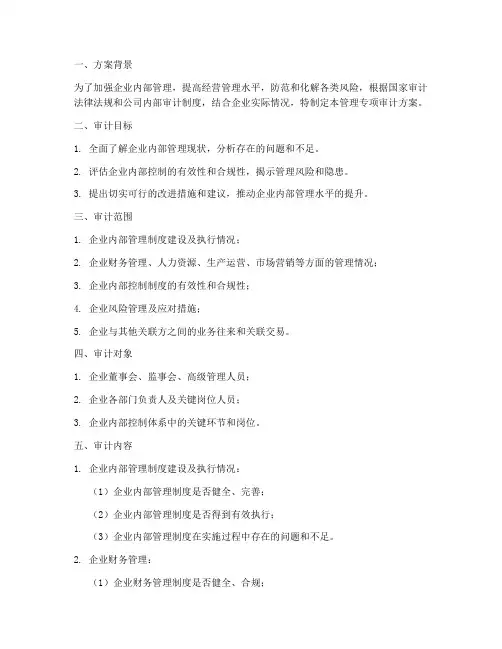 管理专项审计方案