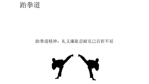 跆拳道介绍
