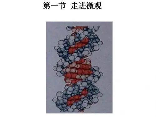 第一节 走进微观世界