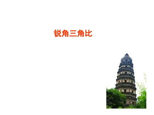 初中数学《锐角三角比》教学课件