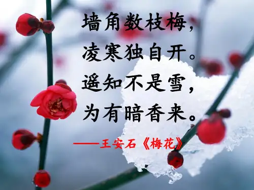 高中历史人教版选修一 第四单元 王安石变法 (共33张PPT)