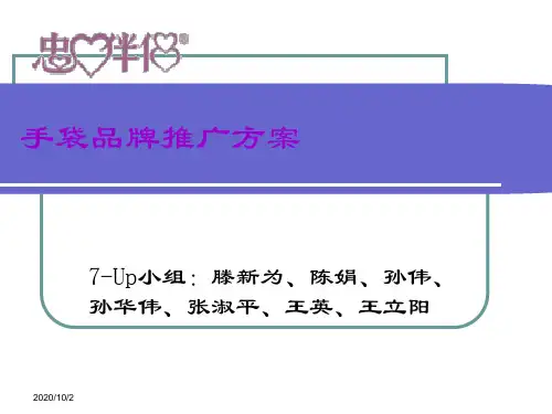 忠心伴侣手袋品牌推广方案