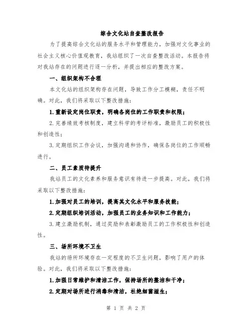 综合文化站自查整改报告