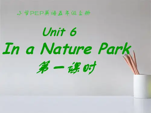 PEP人教版人教版五年级上册英语第六单元课件PPT(2)