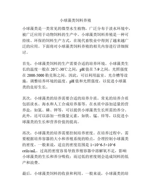 小球藻类饲料养殖