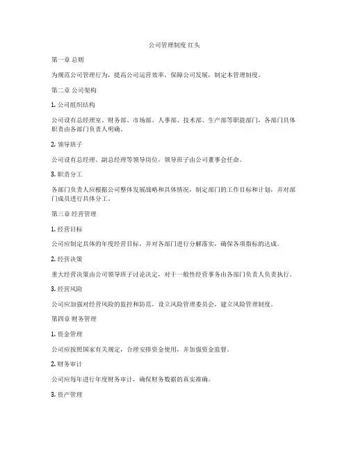 公司管理制度 红头