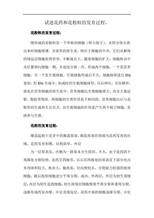 试述花药和花粉粒的发育过程。