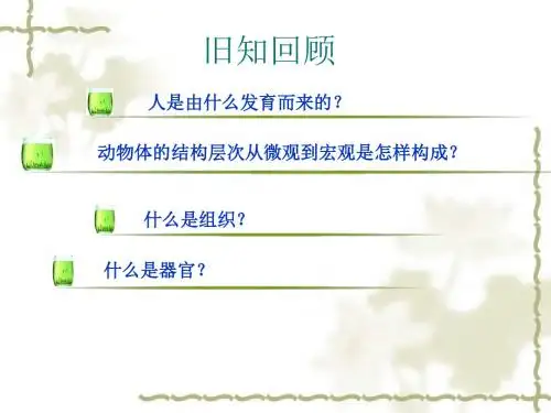植物体的结构层次 (2)