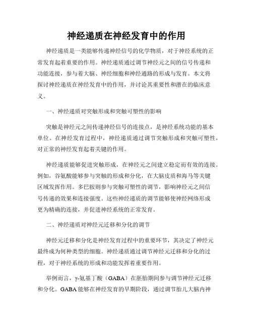 神经递质在神经发育中的作用