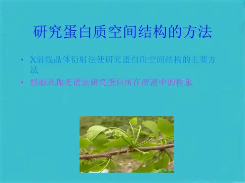 生物化学王镜岩第三第六章蛋白质的高级结构  课件(共54张PPT)