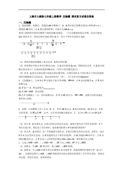 上海市人教版七年级上册数学 压轴题 期末复习试卷及答案