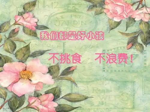 欣欣幼儿园小班健康《不挑食不浪费》PPT课件