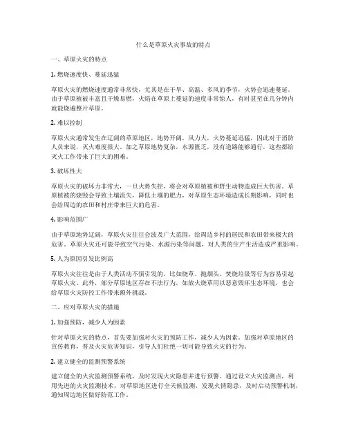 什么是草原火灾事故的特点