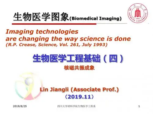 生物医学工程基础四—生物医学图象2