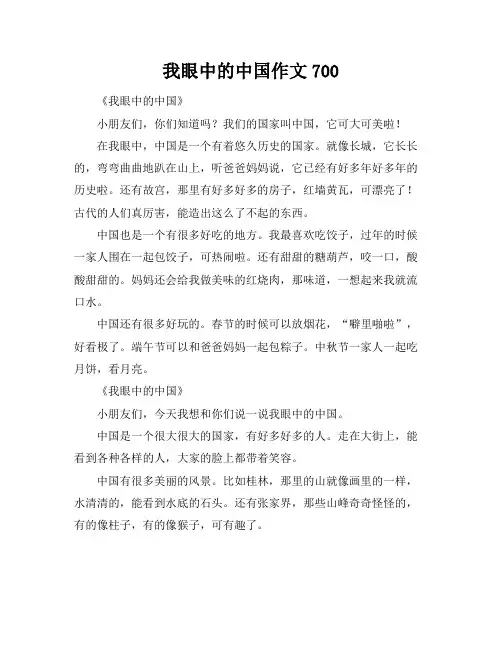 我眼中的中国作文700