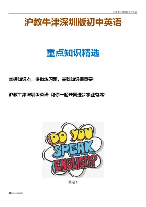 沪教牛津深圳版初中英语九年级下册unit5 教案3