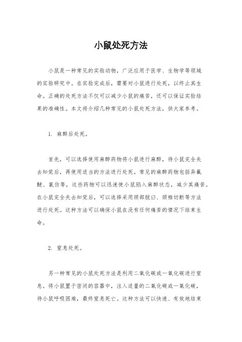 小鼠处死方法