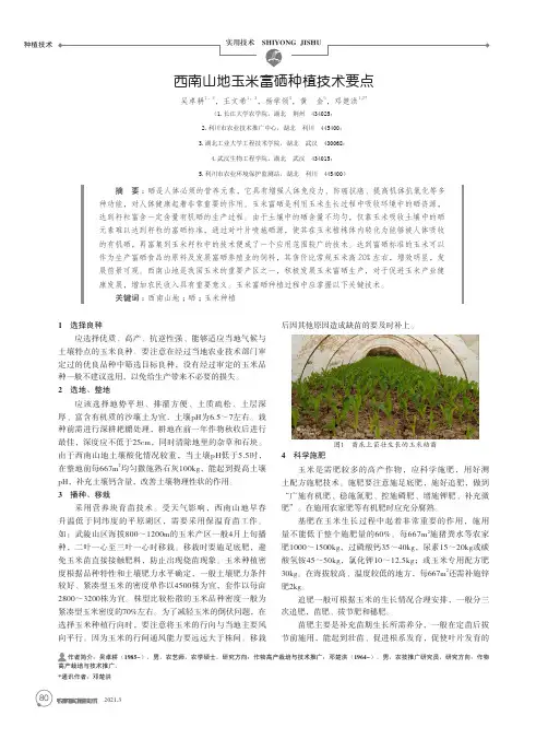 西南山地玉米富硒种植技术要点