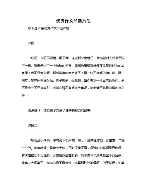 优秀作文节选片段