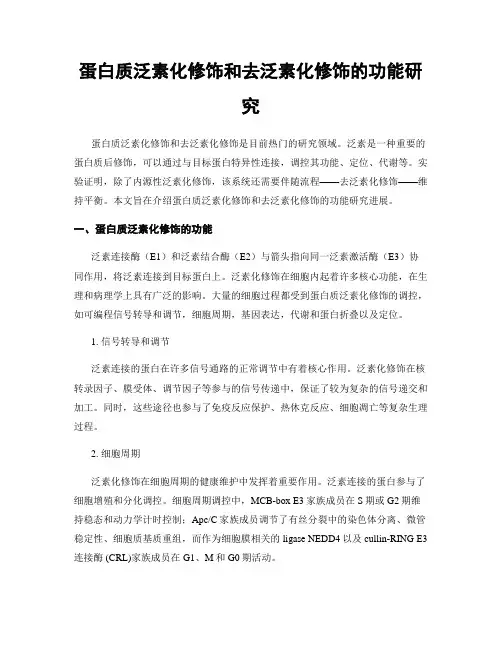 蛋白质泛素化修饰和去泛素化修饰的功能研究