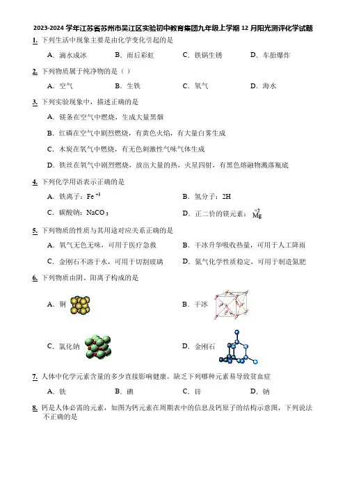 2023-2024学年江苏省苏州市吴江区实验初中教育集团九年级上学期12月阳光测评化学试题