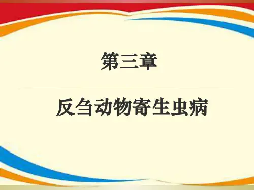 《反刍动物寄生虫病》PPT课件
