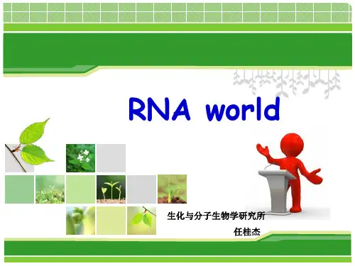 RNA world    RNA世界