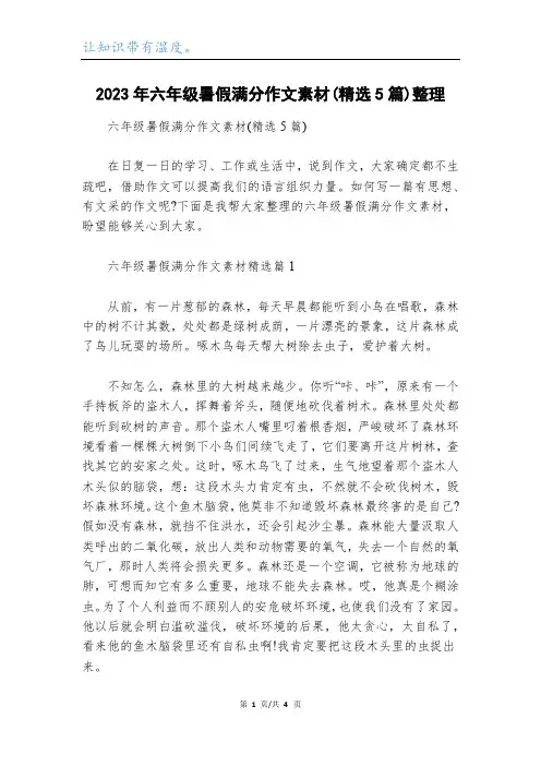 2023年六年级暑假满分作文素材(精选5篇)整理