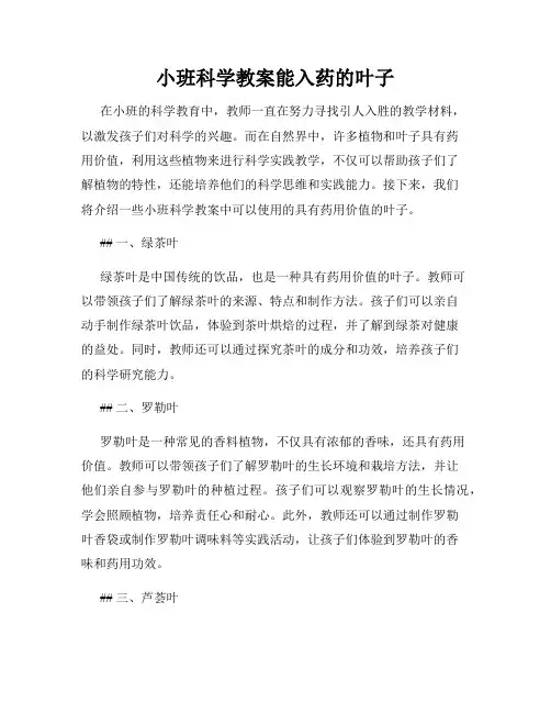 小班科学教案能入药的叶子