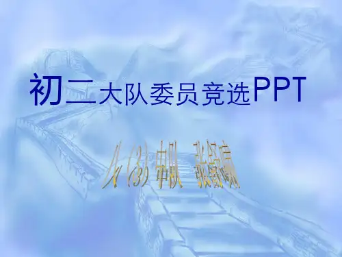 大队长竞选ppt