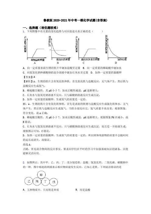鲁教版2020-2021年中考一模化学试题(含答案)