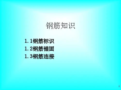 《钢筋基础知识简介》PPT课件