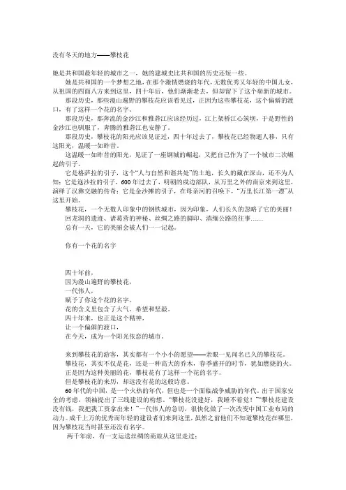 攀枝花