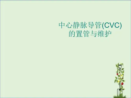 中心静脉导管(CVC)的置管与维护汇总