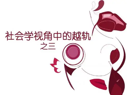 越轨  社会学解释3