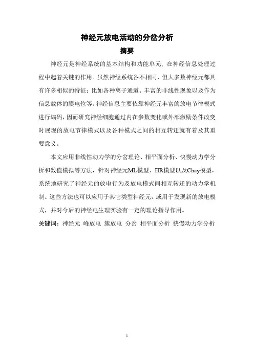 神经元放电活动的分岔分析概要